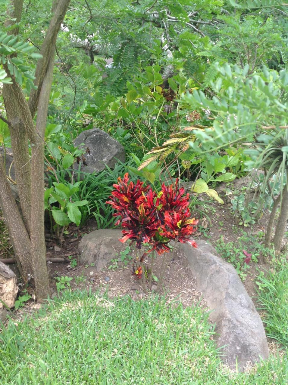 Hotel Y Bungalows Ecologicos Marcelo Santiago Atitlán Eksteriør bilde