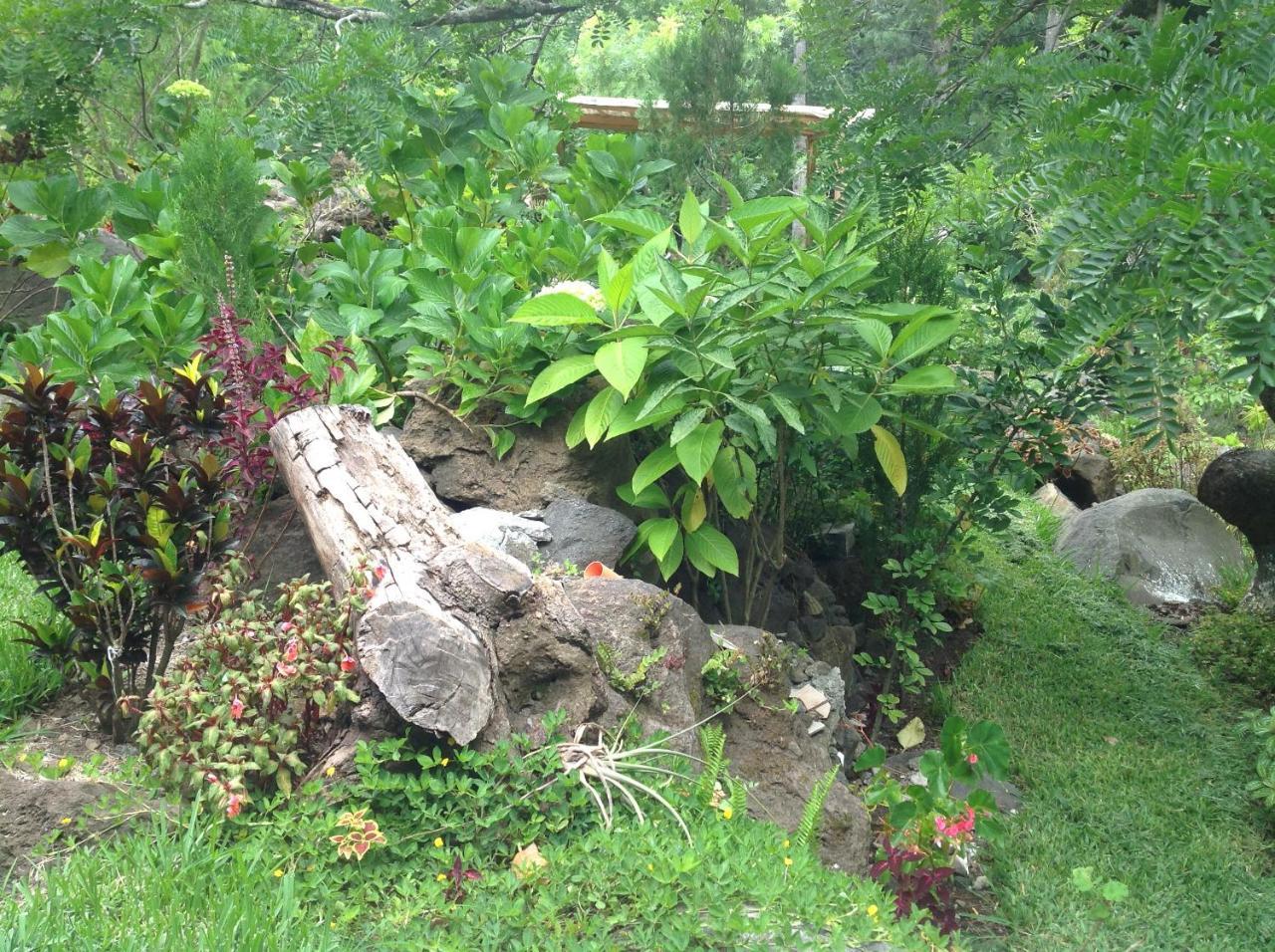 Hotel Y Bungalows Ecologicos Marcelo Santiago Atitlán Eksteriør bilde