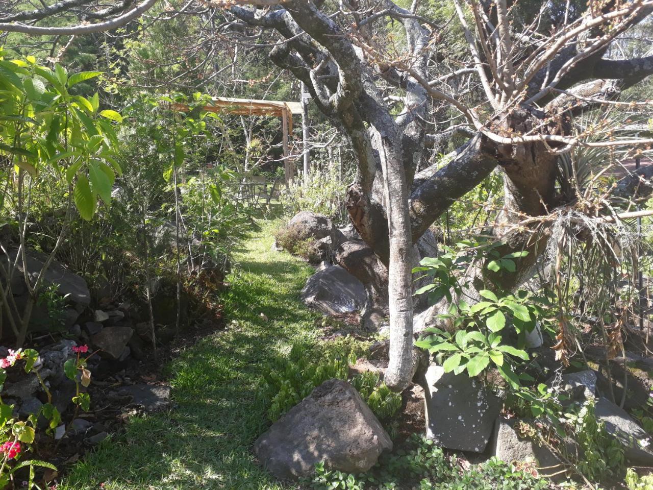 Hotel Y Bungalows Ecologicos Marcelo Santiago Atitlán Eksteriør bilde