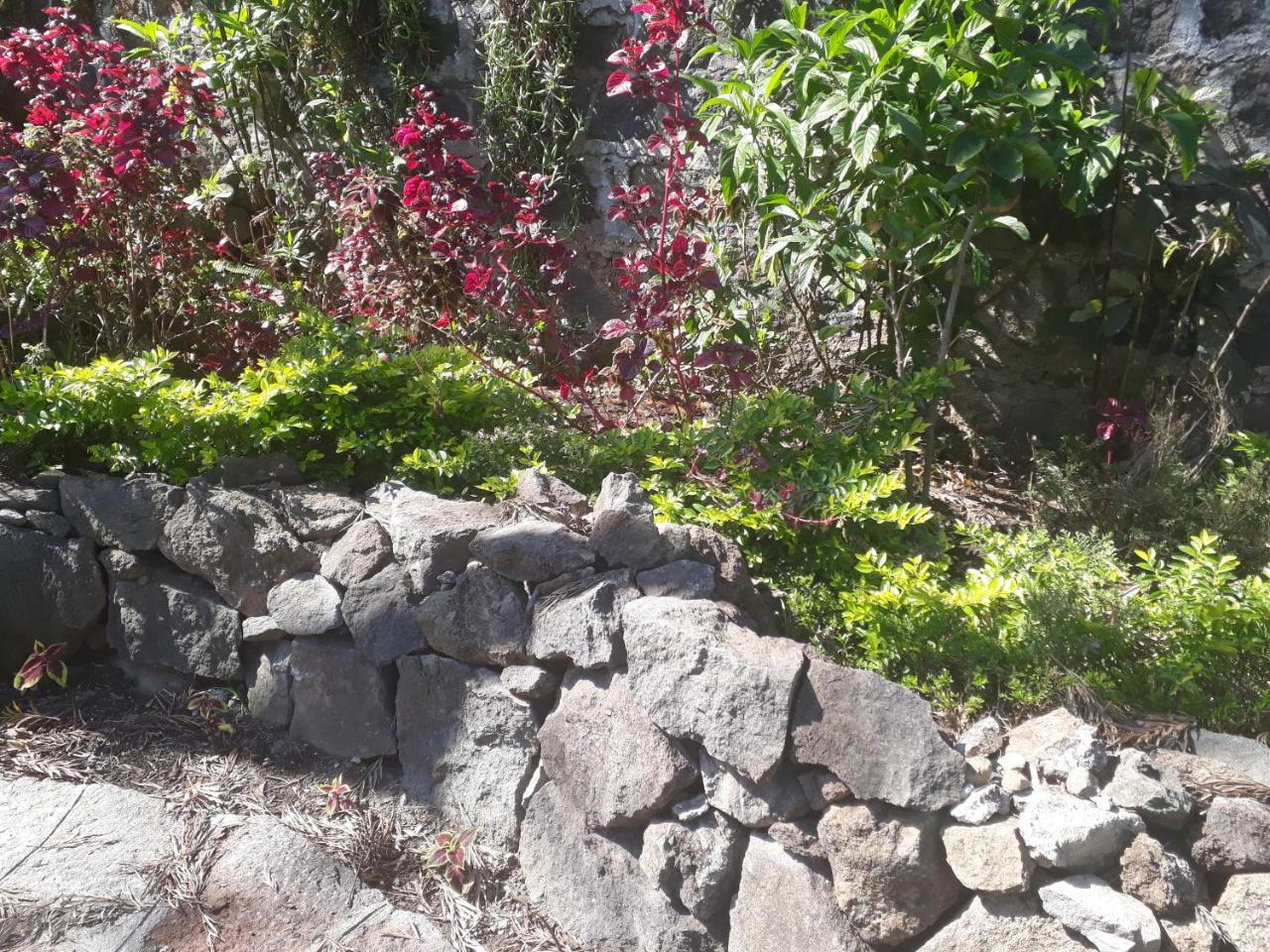 Hotel Y Bungalows Ecologicos Marcelo Santiago Atitlán Eksteriør bilde